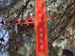 -慈恩寺