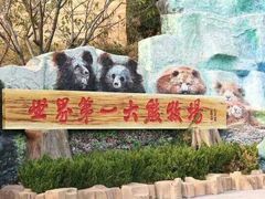 -东方熊牧场