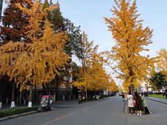 -四川大学(望江校区)