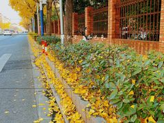 -上海市黄浦区卢湾第一中心小学