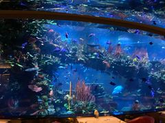 -迪拜帆船酒店海底餐厅