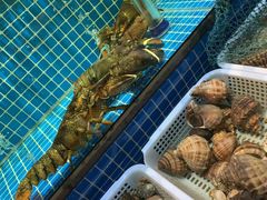-庆赫隆融合菜馆(群力店)