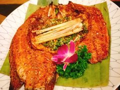 -紫滇源云南生态菜(丹凤街店)