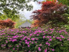 -上海滨江森林公园