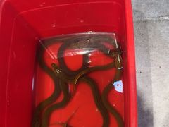 -盱眙虾怪·旗舰店