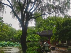 -秋霞圃