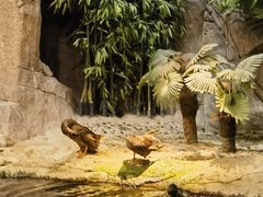 -上海海洋水族馆