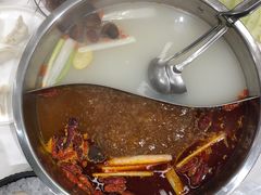 -小叫驴养生驴肉火锅(龙游店)