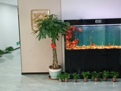 -星悦汇棋牌(徐泾店)