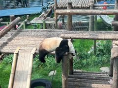 -大连森林动物园