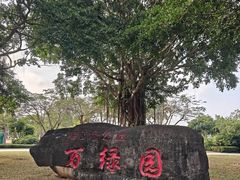 -万绿园