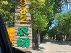 -1982农场