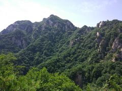 -王顺山国家森林公园