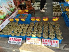 -高淳老街