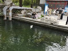 -皇家御河游(紫御湾码头)