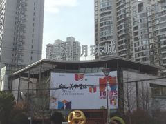 -新湖明珠城