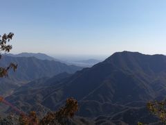 -大岭沟猕猴桃谷风景区