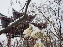 -宝鸡植物园