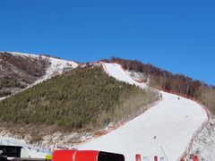 -密苑云顶乐园