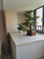 -珍贞佰俪·针清祛痘印敏感管理