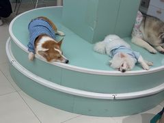 -怪兽屋·羊驼·猫咖·狗咖(俊华广场店)