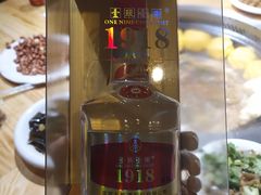 -桃源村铁锅炖鱼(体育馆道店)