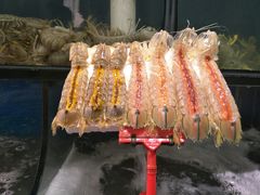 -蚝专家(北滘店)