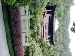 -十八棵（老龙井）御茶园(老龙井店)