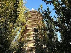 -万松老人塔