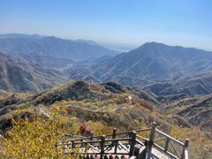 -大岭沟猕猴桃谷风景区
