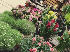 -秦美花卉(天朗·莱茵小城2期店)