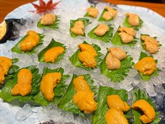 海胆-月龍吟(朝龙汇店)