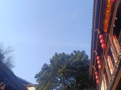 -胖娃古镇鸡杂(磁器口总店)