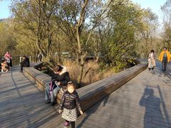 -西湖风景区-江洋畈生态公园