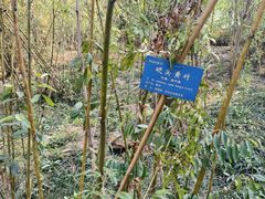 -中山市树木园