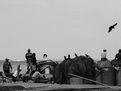 -尼甘布海鲜市场