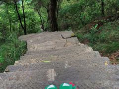 -黔灵山公园
