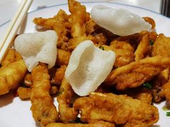 -港升鱼师傅·中山脆肉鲩