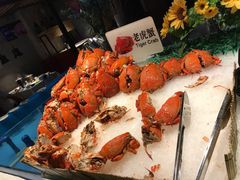 -星伦多自助料理·涮烤一体(江桥万达店)