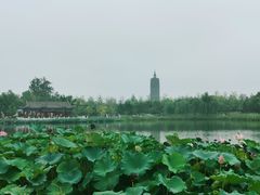 -西海子公园