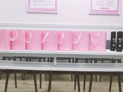 -爱月宝月嫂·育儿嫂