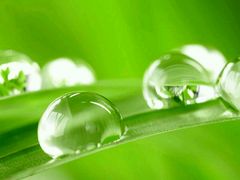 -紫罗兰足浴养生会所(长兴城店)