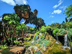 -奥兰多迪士尼动物王国乐园