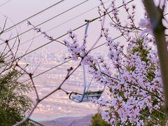 -香山公园