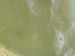 -南宫温泉水世界