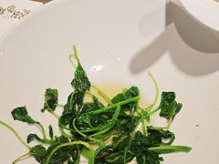 -院里寻菜·精致庭院菜(观沙岭店)