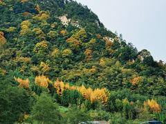 -硗碛藏寨·神木垒景区