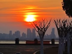 -合肥滨湖国家森林公园