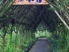 -温江公园