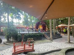 -二荆条·蜀鲜汇城市森林火锅